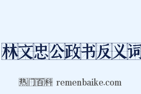 林文忠公政书反义词是什么意思的图片
